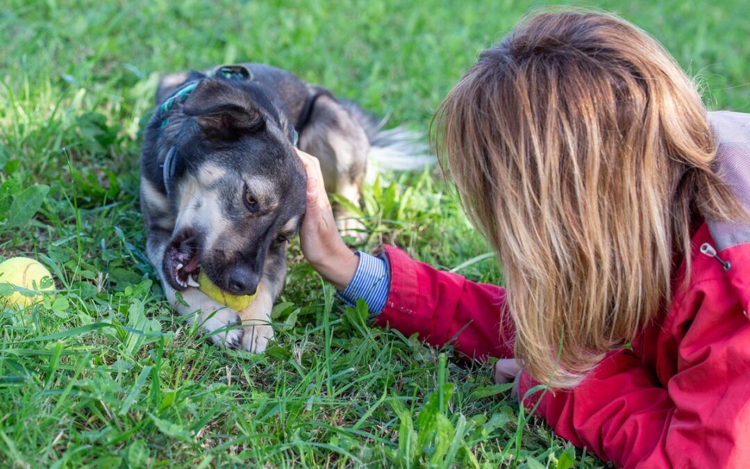 Il cambiamento nei cani: mito o realtà?